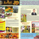 The Marigold Project Telegraph Journal 2013