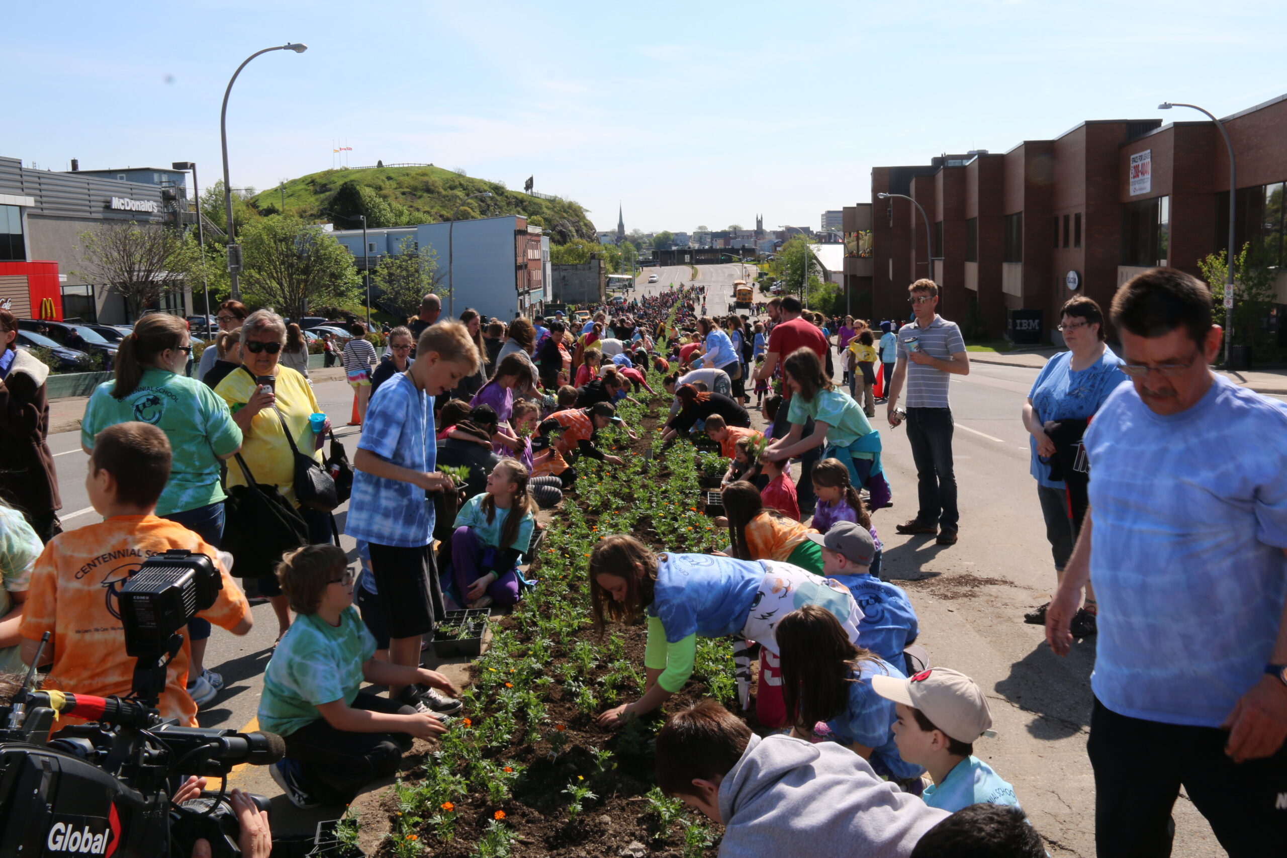 2015 The Marigolds Project Plant Day