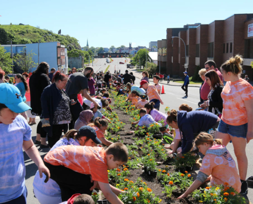 2018 The Marigolds Project Plant Day