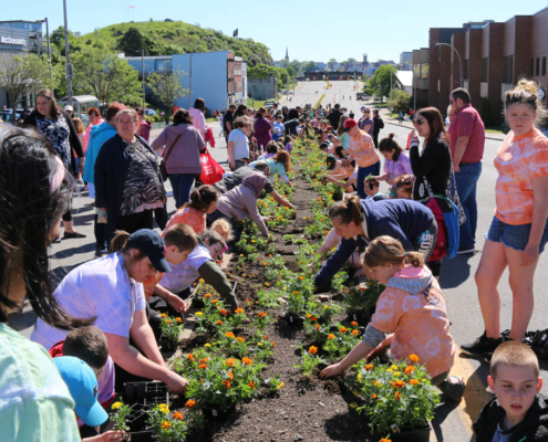 2018 The Marigolds Project Plant Day